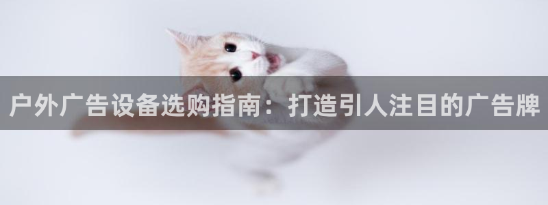 杏宇平台总代理是谁