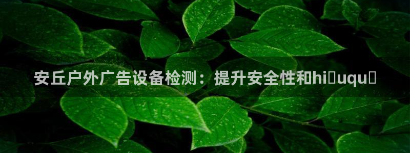 杏宇平台好吗：安丘户外广告设备检测：提升安全性和hiệuquả