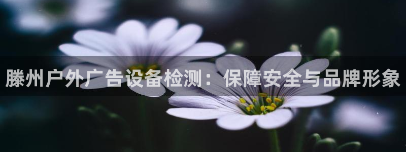 杏宇平台代理怎么赚钱快：滕州户外广告设备检测：保障安全与品牌形象