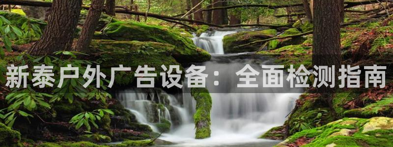杏宇官方平台官网入口