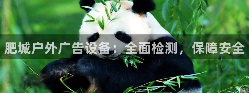 杏宇官方平台官网入口