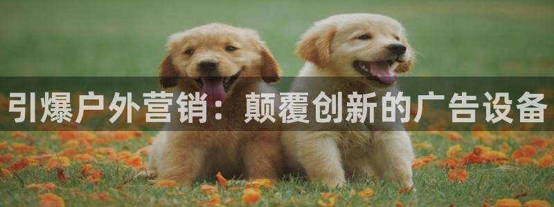 杏宇官方平台官网下载