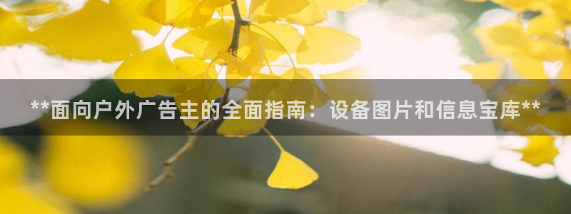 杏宇平台代理