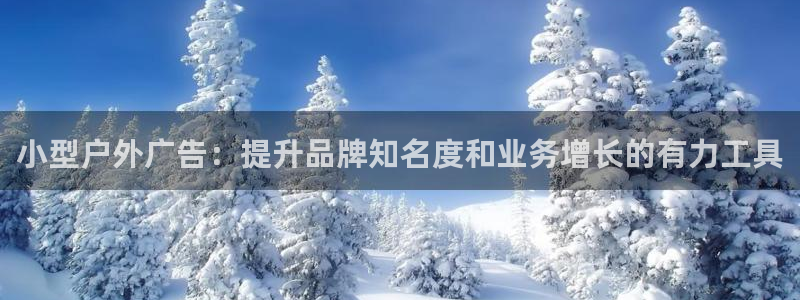 杏宇平台代理多少钱一个月
