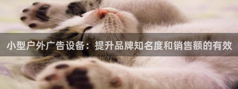 杏宇平台注册地址在哪里