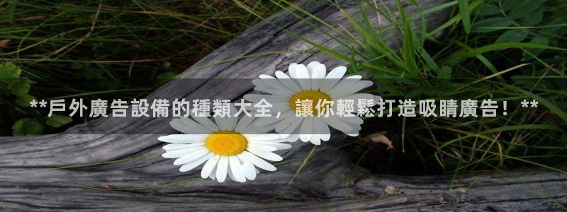 杏宇代理注册
