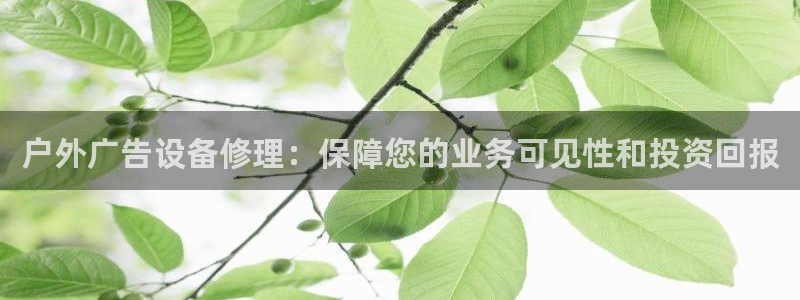 杏宇平台代理怎么样可靠吗