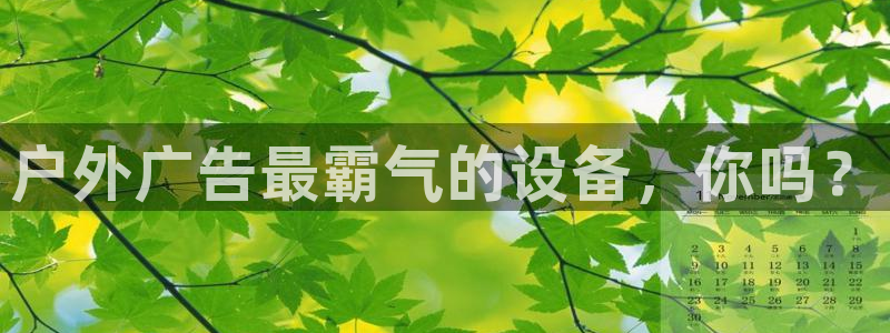 杏宇平台注册登录