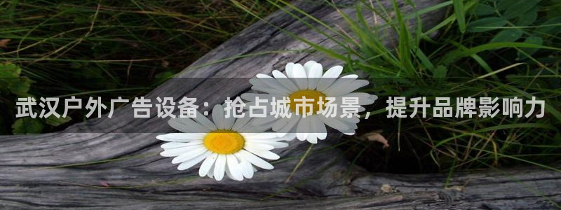 杏宇平台代理怎么赚钱的