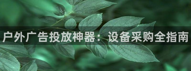 杏宇平台招商