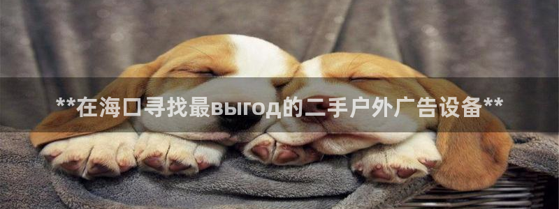 杏宇平台登陆