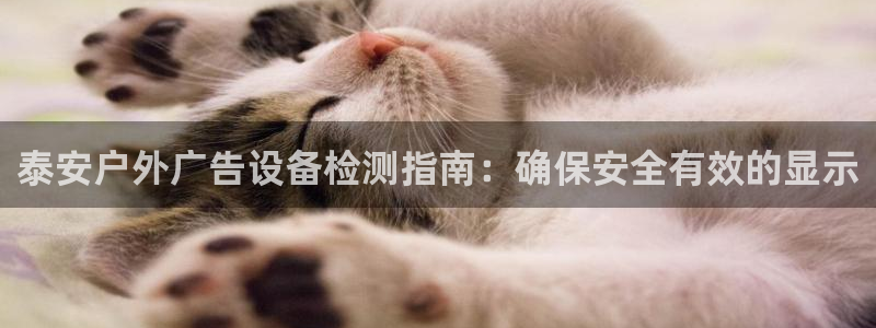 杏宇平台代理怎么样赚钱
