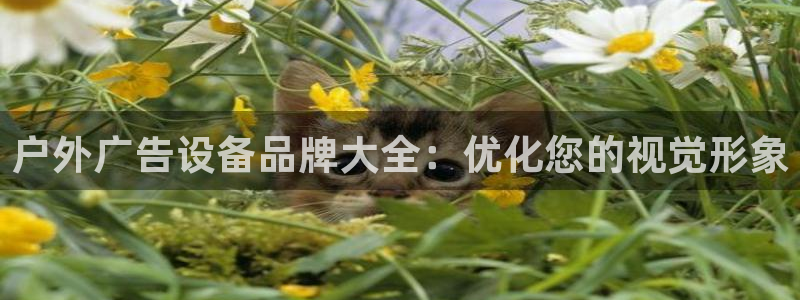 杏宇平台怎么样
