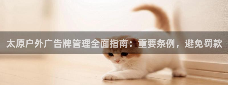 杏宇平台怎么样赚钱