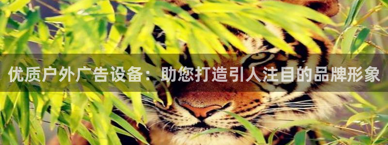 杏宇平台代理怎么赚钱的