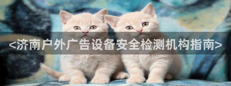 杏宇代理注册