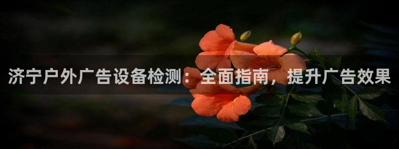 杏宇平台登录步骤图：济宁户外广告设备检测：全面指南，提升广告效果