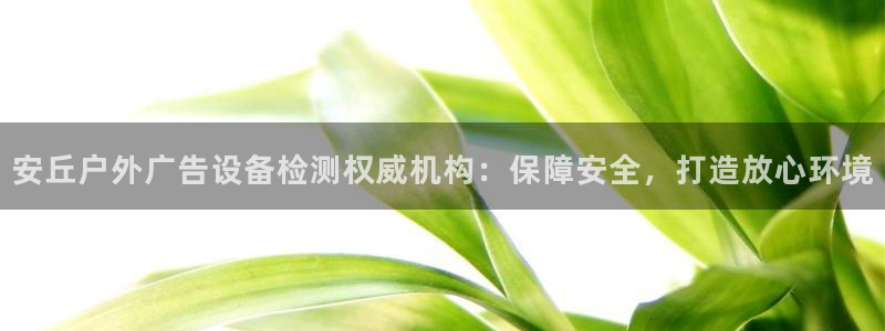 杏宇平台总代理：安丘户外广告设备检测权威机构：保障安全，打造放心环境
