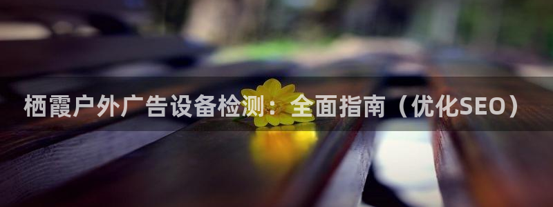 杏宇平台代理怎么赚钱的：栖霞户外广告设备检测：全面指南（优化SEO）
