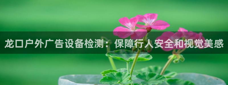 杏宇官方平台官网入口