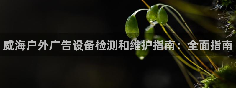 杏宇平台主管：威海户外广告设备检测和维护指南：全面指南