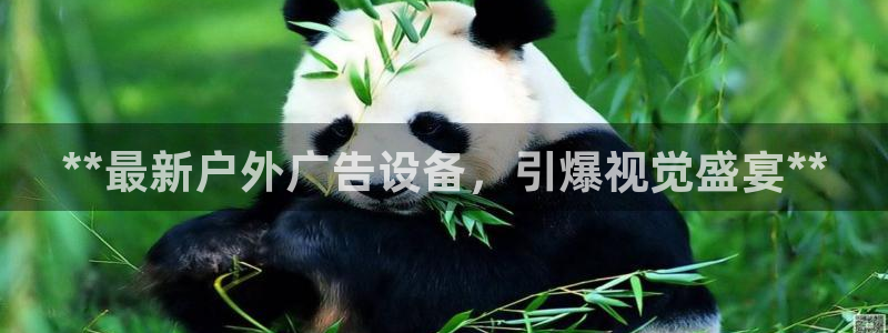 杏宇平台代理怎么赚钱的