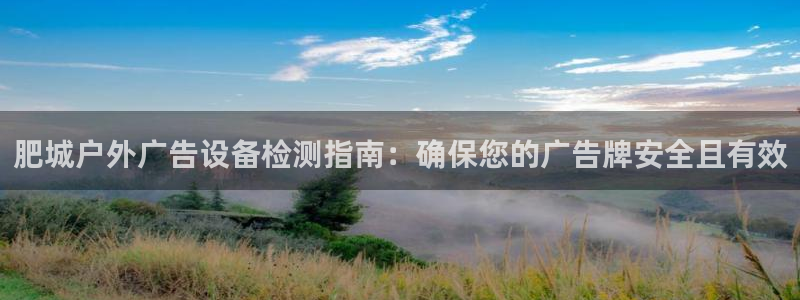 杏宇平台主管