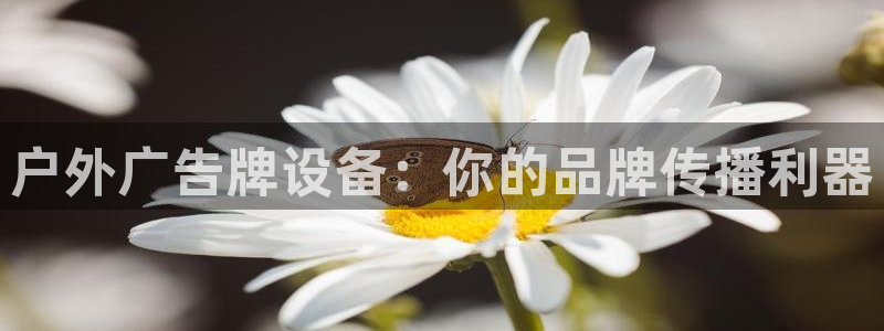 杏宇平台怎么样知乎