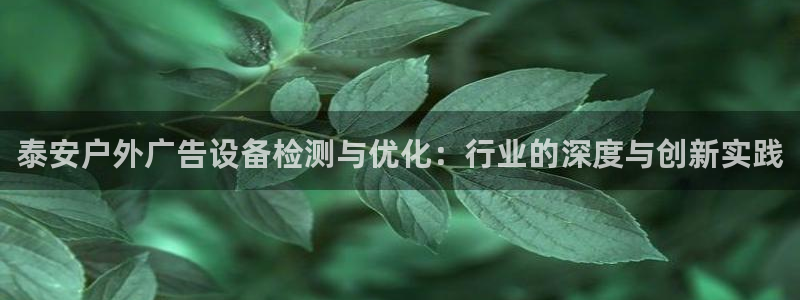 杏宇平台官网注册：泰安户外广告设备检测与