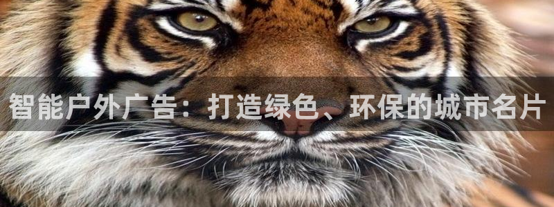 杏宇平台总代理电话