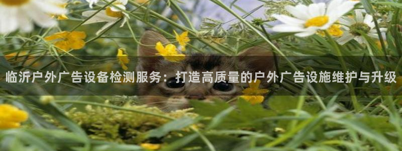 杏宇平台怎么样知乎：临沂户外广告设备检测服务：打造高质量的户外广告设施维护与升级