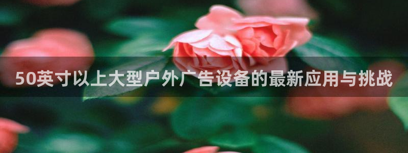 杏宇平台代理怎么赚钱快：50英寸以上大型