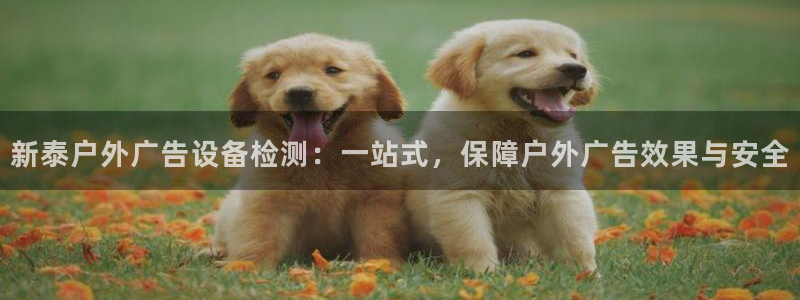 杏宇平台官网注册：新泰户外广告设备检测：