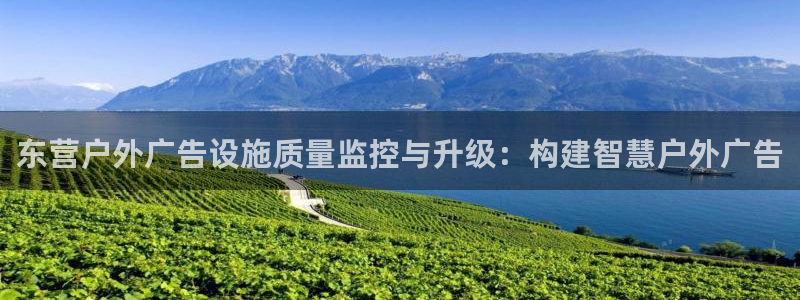 杏宇平台好吗：东营户外广告设施质量监控与