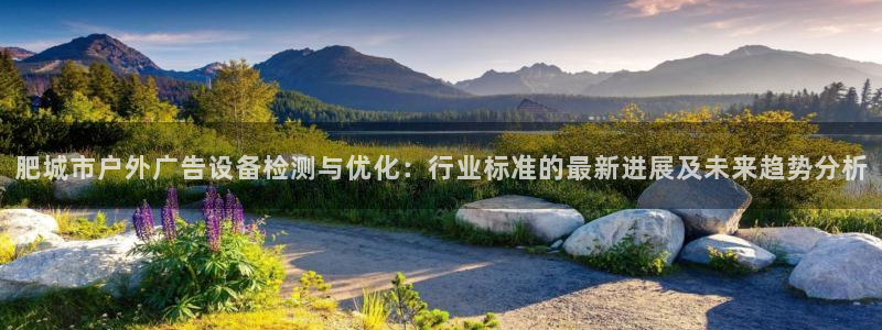 杏宇平台登录步骤：肥城市户外广告设备检测