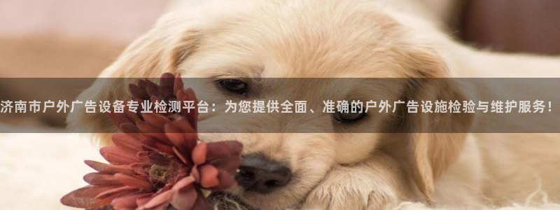 杏宇官方平台官网：济南市户外广告设备专业