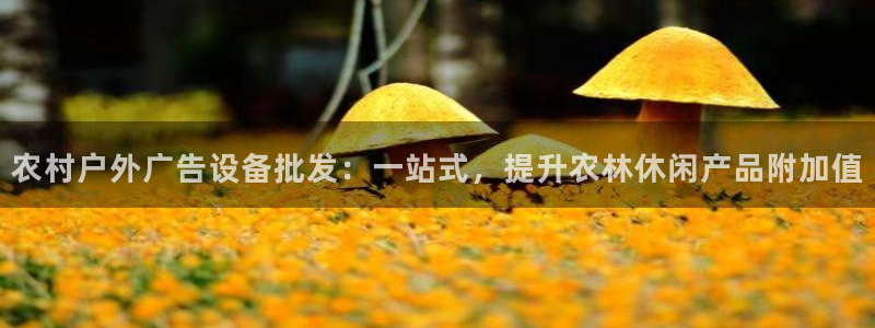 杏宇平台好吗：农村户外广告设备批发：一站