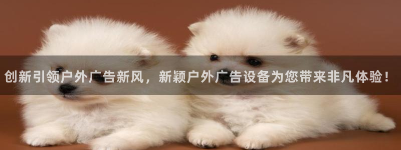 杏宇平台客服：创新引领户外广告新风，新颖