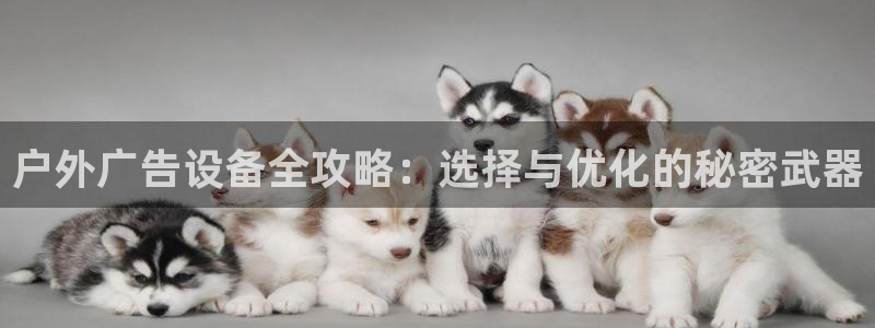 杏宇平台注册地址在哪里：户外广告设备全攻略：选择与优化的秘密武器