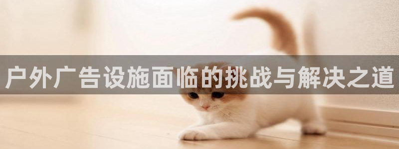 杏宇平台提现为什么这么久呢：户外广告设施面临的挑战与解决之道