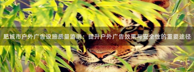 杏宇平台怎么样：肥城市户外广告设施质量监