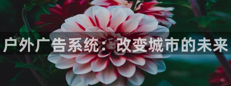 杏宇平台代理怎么样可靠吗：户外广告系统：