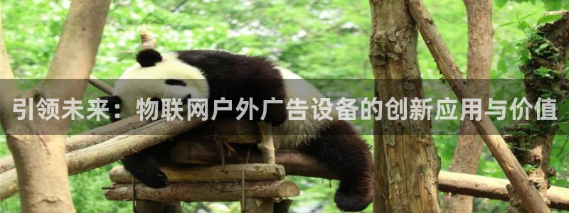 杏宇平台代理多少钱一次：引领未来：物联网户外广告设备的创新应用与价值