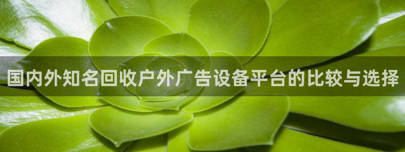 杏宇平台提现为什么这么久呢：国内外知名回收户外广告设备平台的比较与选择