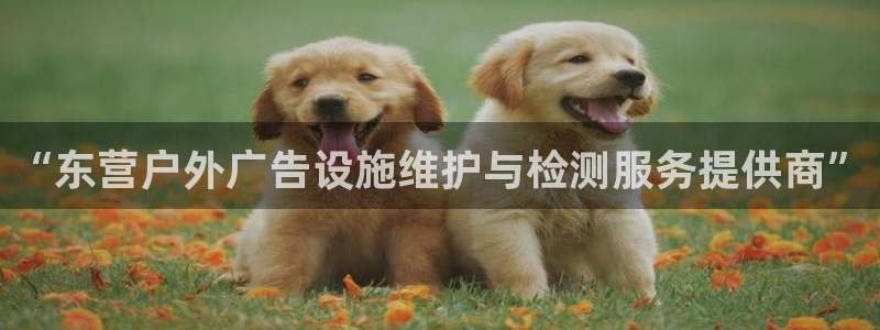 杏宇平台怎么样：“东营户外广告设施维护与检测服务提供商”