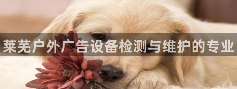 杏宇平台怎么样赚钱：莱芜户外广告设备检测与维护的专业