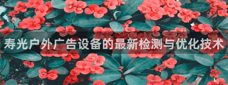 杏宇平台招商怎么样：寿光户外广告设备的最新检测与优化技术