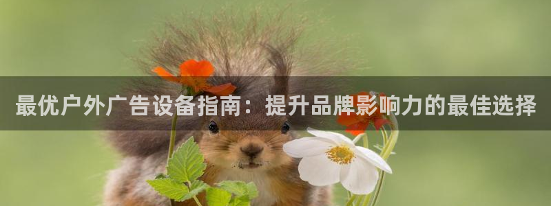 杏宇官方平台官网下载：最优户外广告设备指南：提升品牌影响力的最佳选择