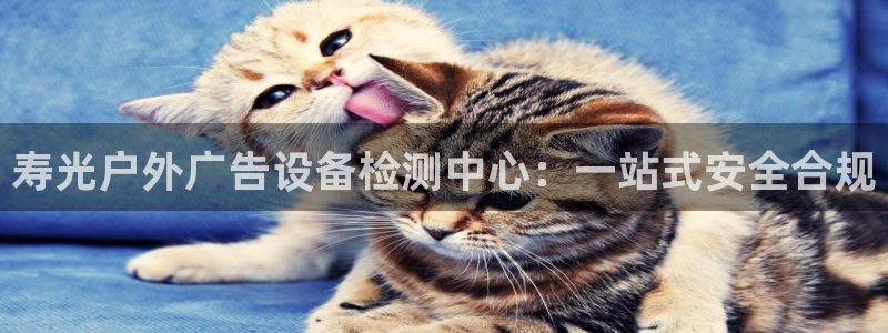 杏宇官方平台官网下载:寿光户外广告设备检 杏宇官方平台官网下载:寿光户外广告设备检