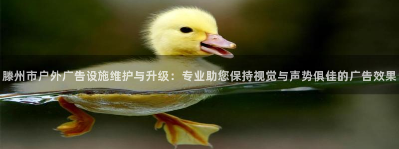 杏宇平台代理多少钱